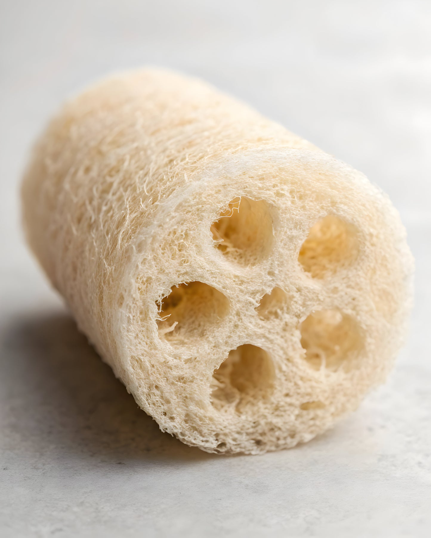 A close-up of the Amillia Acres Natural Loofah Sponge showcases its eco-friendly, cylindrical design with a fibrous texture and circular holes, set on a light, smooth surface.
