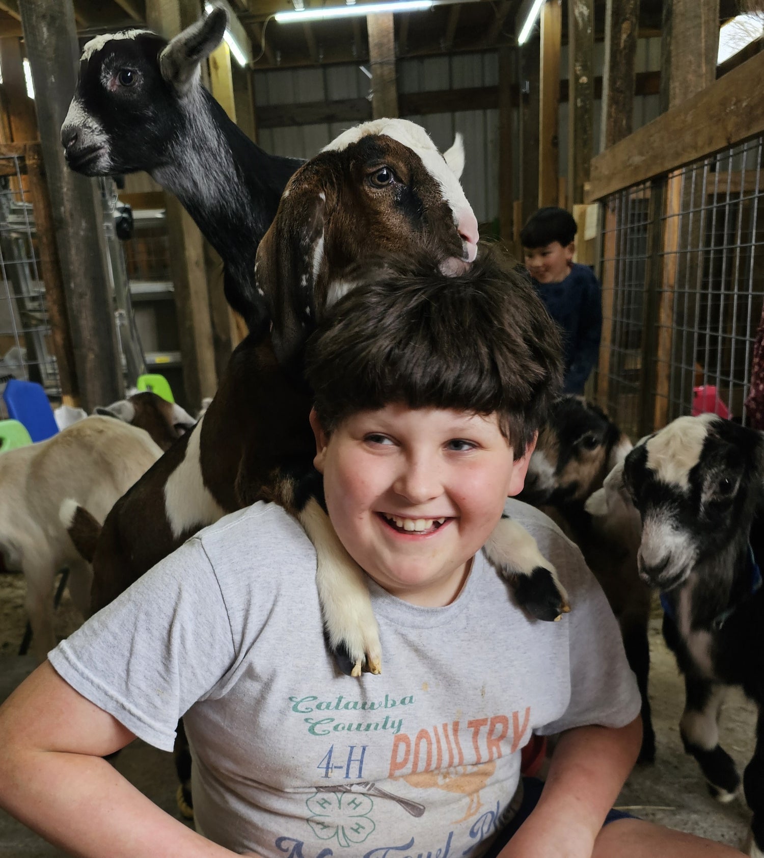 A smiling boy sits in a barn with a goat perched playfully on his shoulders. Other goats surround them, and a person is visible in the background. The atmosphere is joyful and lively.