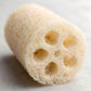 A close-up of the Amillia Acres Natural Loofah Sponge showcases its eco-friendly, cylindrical design with a fibrous texture and circular holes, set on a light, smooth surface.