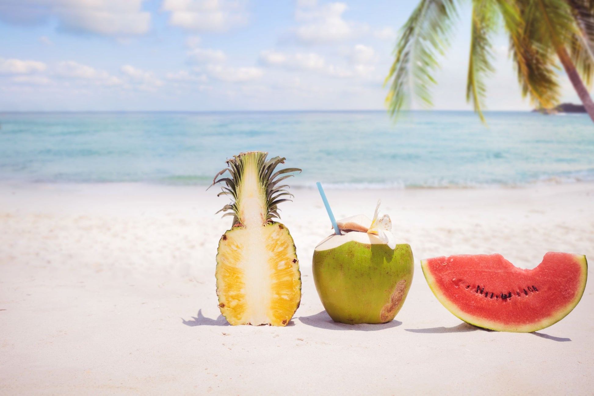 A sliced pineapple, a coconut with a straw, and a watermelon slice rest on a sandy beach with an ocean view. A palm tree sways gently under the clear, blue sky—a scene as refreshing as the nourishing ingredients in our Escape Goat Milk Lotion by Amillia Acres ~ Goat Milk Soaps and Lotions.