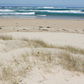 A sandy beach with gentle waves mirrors the natural essence of Amillia Acres' Relax Goat Milk Lotion. In the foreground, grass on sand dunes echoes its moisturizing ingredients, while a deep blue ocean reflects the calming nature of our handmade skincare.