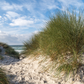 A sandy path framed by tall beach grass reveals an ocean view beneath a partly cloudy sky, with waves creating a tranquil seaside vibe reminiscent of the calming touch of Amillia Acres' Relax Goat Milk Lotion, part of your cherished handmade skincare routine.